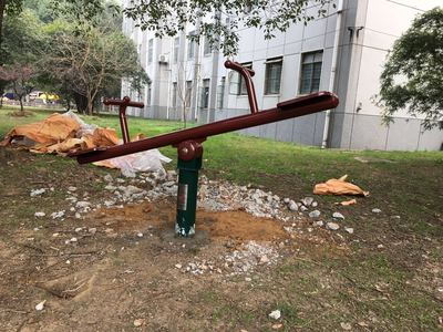 双人跷跷板(double seesaw))